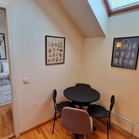 Apartment Tyzenxl Luxury Wilna