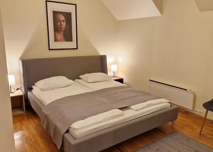 Tyzenxl Luxury Apartment Wilna